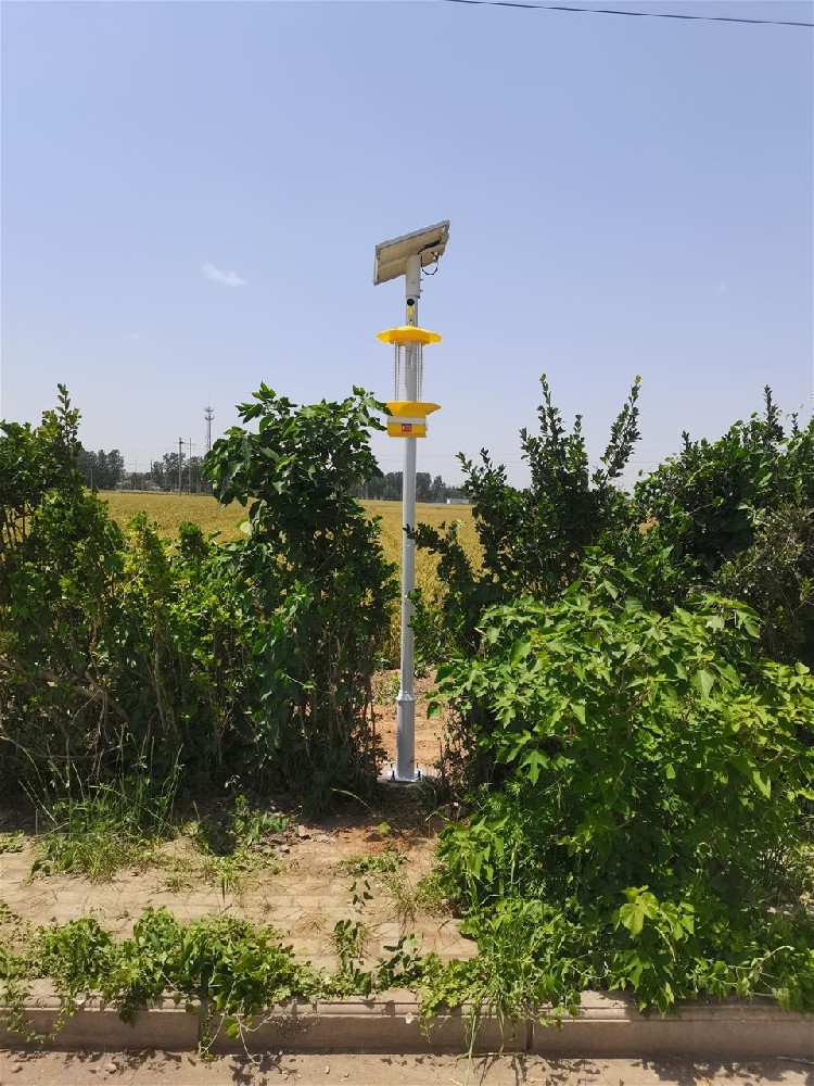 河南安陽(yáng)雙全村采購(gòu)競(jìng)道光電科技智慧農(nóng)業(yè)氣象站