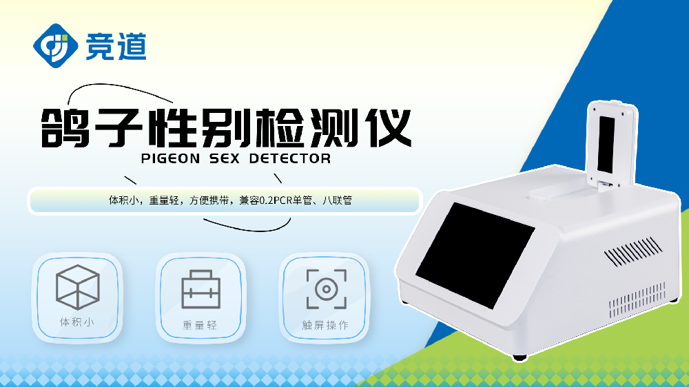 鴿子性別檢測儀精準判定鴿子性別