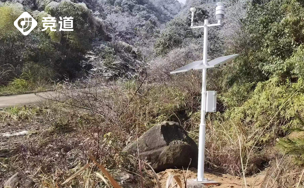 1704855135168768.jpg 1704855135168768.jpg