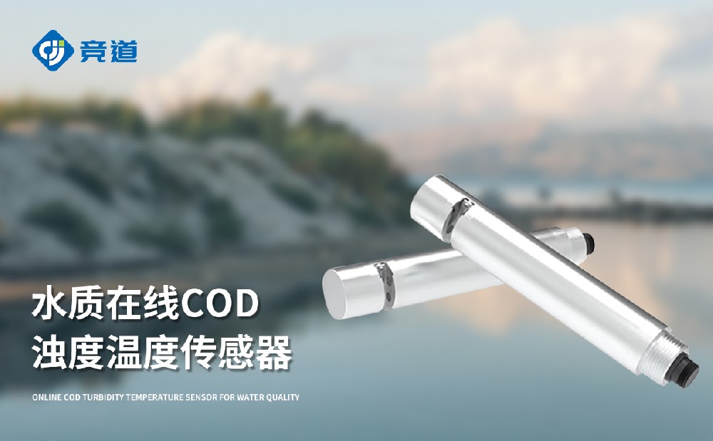 水質(zhì)在線cod濁度傳感器